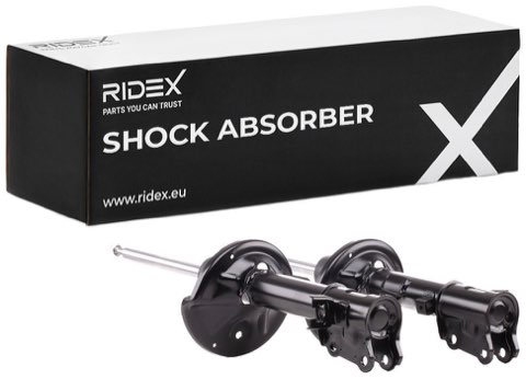 Ridex 854S2576 Shock Absorber, photo 2