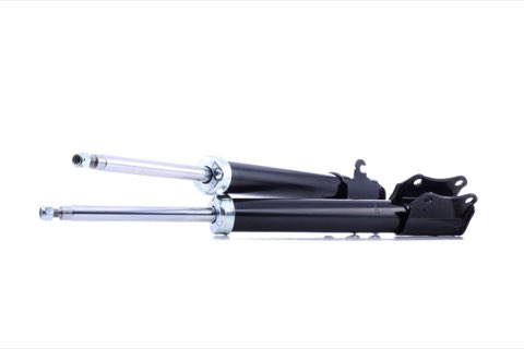 Ridex 854S2579 Shock Absorber