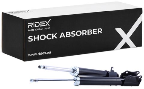 Ridex 854S2579 Shock Absorber, photo 2
