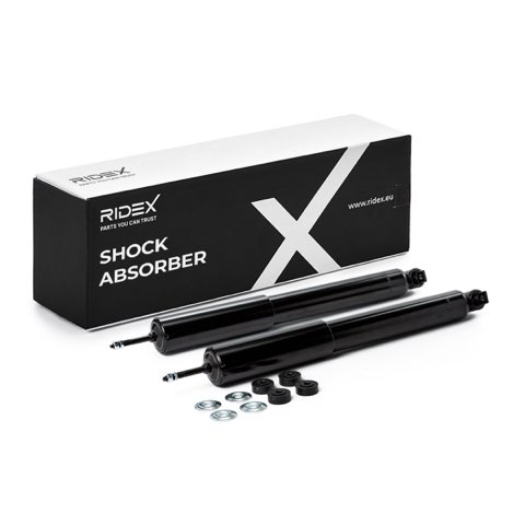 Ridex 854S2593 Shock Absorber