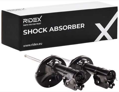 Ridex 854S2598 Shock Absorber, photo 2