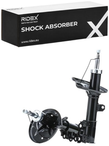 Ridex 854S2599 Shock Absorber, photo 2