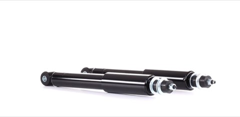Ridex 854S2644 Shock Absorber