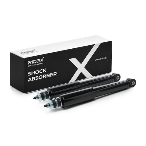 Ridex 854S2644 Shock Absorber, photo 2