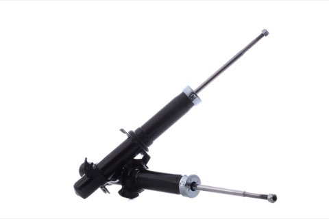 Ridex 854S2660 Shock Absorber
