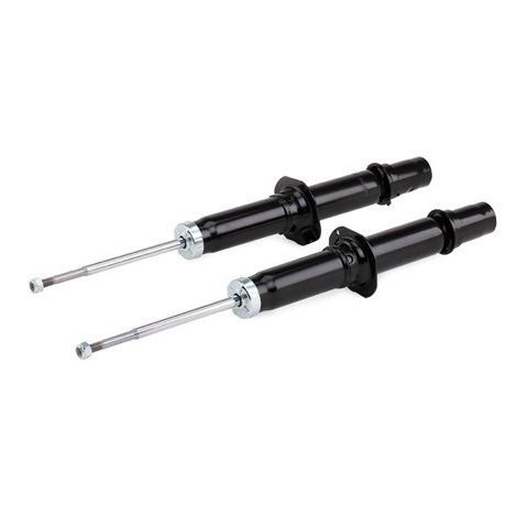 Ridex 854S2663 Shock Absorber, photo 3