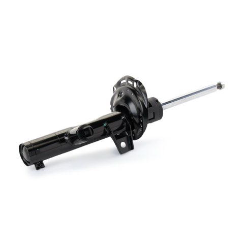Ridex 854S2697 Shock Absorber, photo 3
