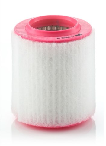 Mann-Filter C 1652/2 Air Filter, photo 2