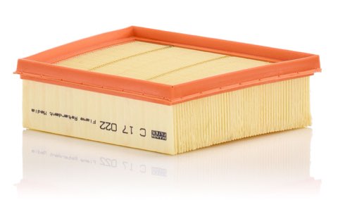 Mann-Filter C 17 022 Air Filter