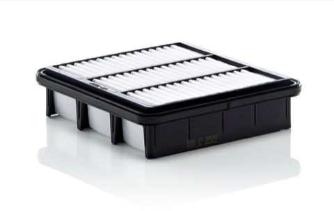 Mann-Filter C 2029 Air Filter