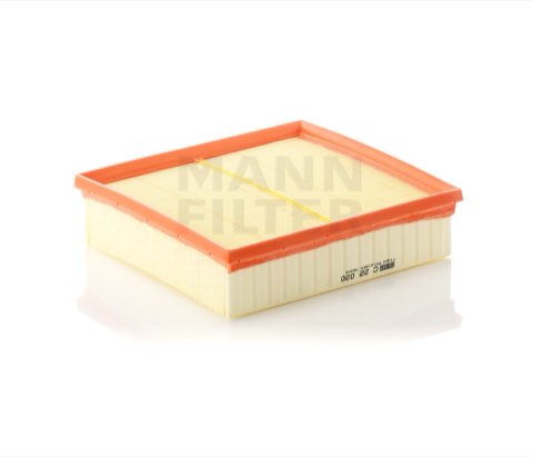 Mann-Filter C 22 020 Air Filter