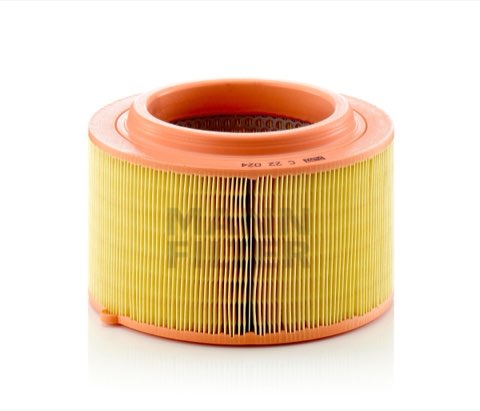Mann-Filter C 22 024 Air Filter