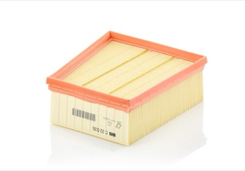 Mann-Filter C 22 026 Air Filter, photo 2