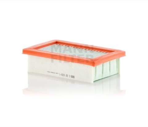 Mann-Filter C 22 033/1 Air Filter, photo 3