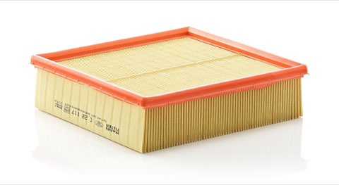 Mann-Filter C 22 117 Air Filter