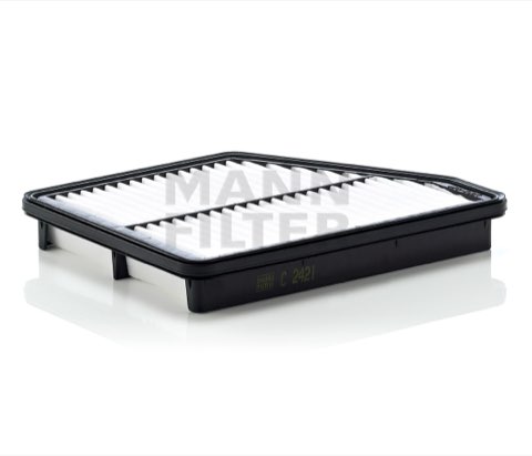 Mann-Filter C 2421 Air Filter, photo 3
