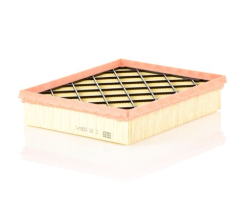 Mann-Filter C 25 008/1 Air Filter