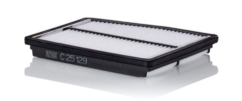 Mann-Filter C 25 129 Air Filter