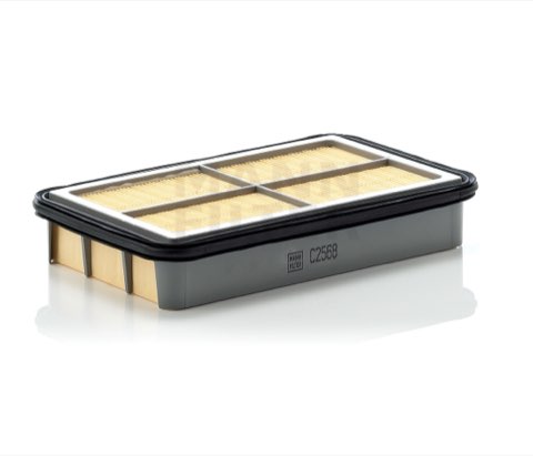 Mann-Filter C 2568 Air Filter, photo 3