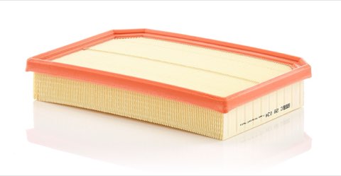 Mann-Filter C 28 034 Air Filter