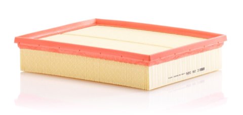 Mann-Filter C 29 029 Air Filter