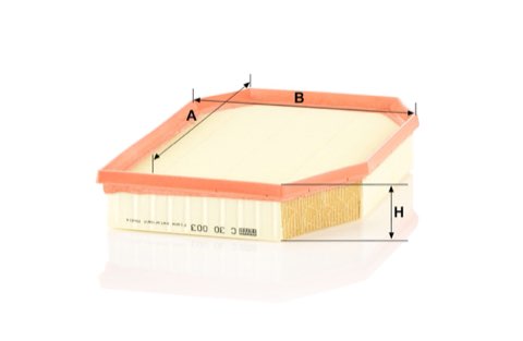 Mann-Filter C 30 003 Air Filter, photo 2