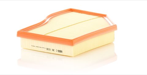 Mann-Filter C 30 030 Air Filter