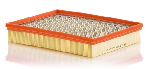 Mann-Filter C 30 039 Air Filter