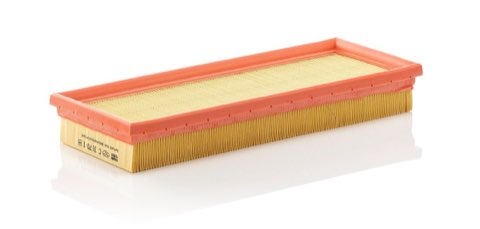 Mann-Filter C 3170/1-2 Air Filter