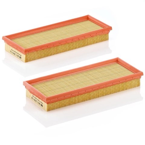 Mann-Filter C 3170/1-2 Air Filter, photo 3