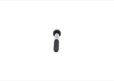 Bosch F 002 D13 561 Screw, photo 3