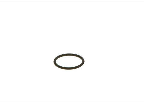Bosch F 00V D38 010 Seal Ring, Nozzle Holder, photo 2