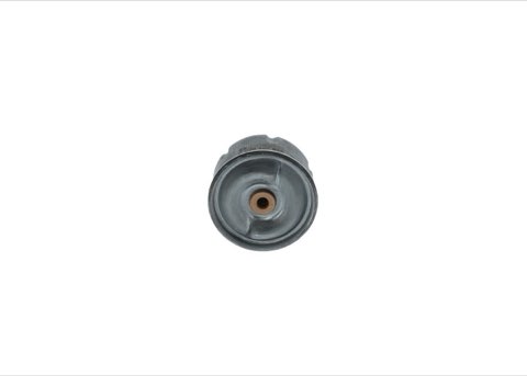 Bosch F 026 407 099 Oil Filter, photo 3