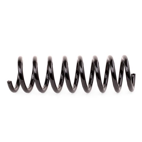 TRW JCS1203 Coil Spring, photo 3