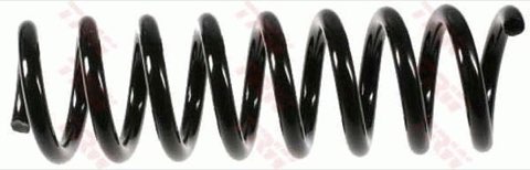 TRW JCS377 Coil Spring