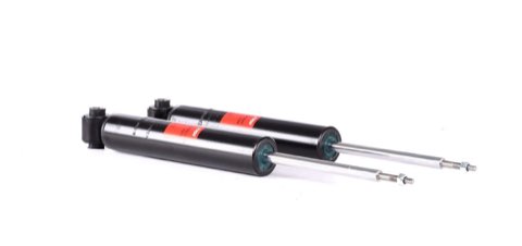 TRW JGE295T Twin Shock Absorber