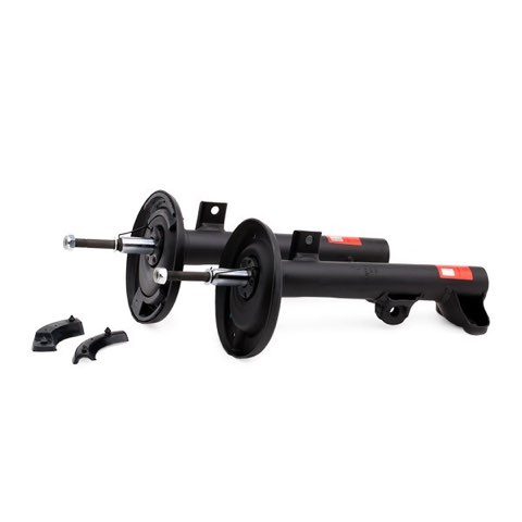 TRW JGM1001T Twin Shock Absorber, photo 2