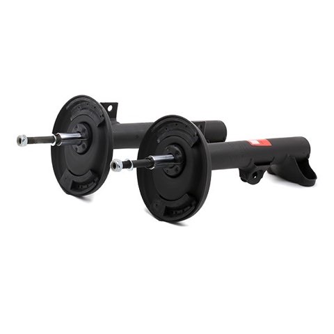 TRW JGM1002T Twin Shock Absorber, photo 2