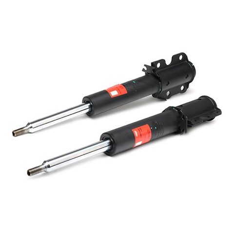 TRW JGM1006T Twin Shock Absorber, photo 3