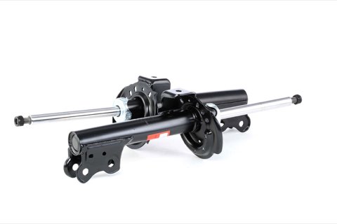 TRW JGM1010T Twin Shock Absorber