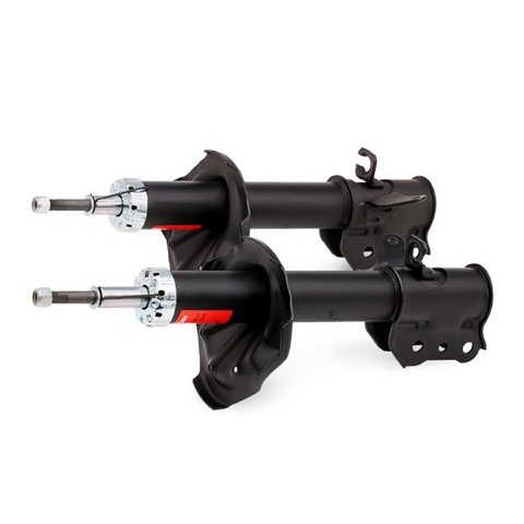 TRW JGM1015T Twin Shock Absorber, photo 2