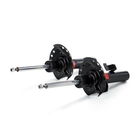 TRW JGM1023T Twin Shock Absorber, photo 2