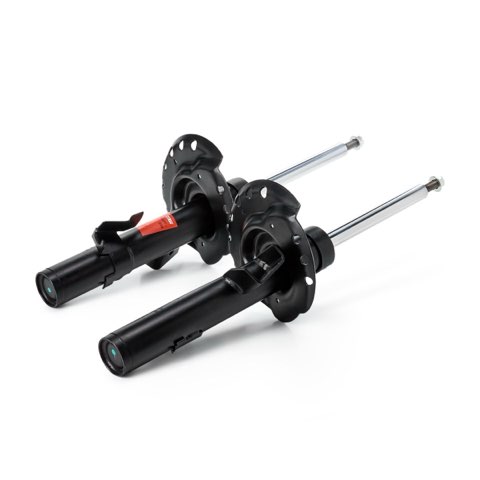 TRW JGM1023T Twin Shock Absorber, photo 3