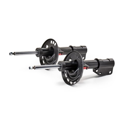 TRW JGM1024T Shock Absorber, photo 2