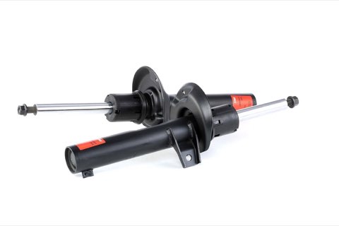 TRW JGM1032T Twin Shock Absorber