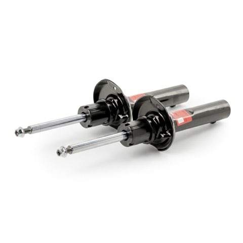 TRW JGM1034T Twin Shock Absorber, photo 2