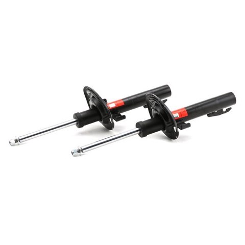 TRW JGM1044T Twin Shock Absorber, photo 3