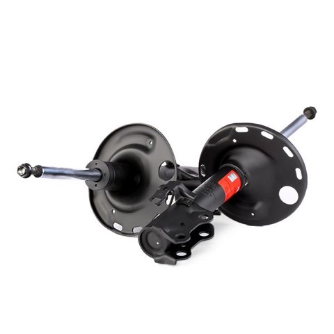 TRW JGM1059T Shock Absorber, photo 2
