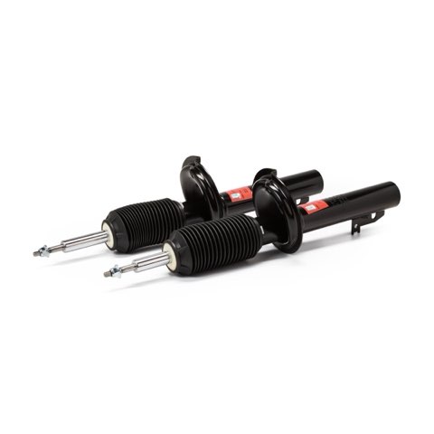 TRW JGM1068T Twin Shock Absorber, photo 2