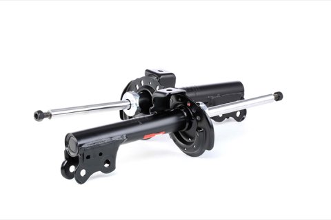 TRW JGM1072T Twin Shock Absorber